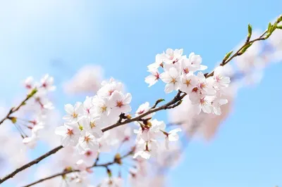 송제한의원 사진 1 (업체가 네이버 플레이스에 올린 사진)