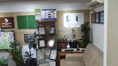 모란경희한의원 사진 1 (업체가 네이버 플레이스에 올린 사진)