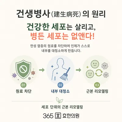 365효 한의원 사진 2 (업체가 네이버 플레이스에 올린 사진)