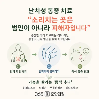 365효 한의원 사진 3 (업체가 네이버 플레이스에 올린 사진)