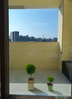 365매일한방병원 사진 2 (업체가 네이버 플레이스에 올린 사진)