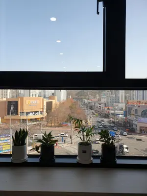 365매일한방병원 사진 3 (업체가 네이버 플레이스에 올린 사진)