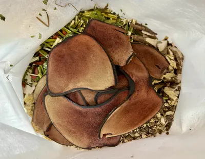 늘푸른경희한의원 사진 3 (업체가 네이버 플레이스에 올린 사진)