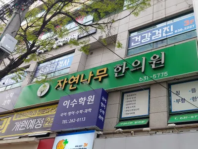 자연나무한의원 사진 1 (업체가 네이버 플레이스에 올린 사진)