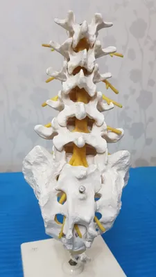 참나무한의원 사진 3 (업체가 네이버 플레이스에 올린 사진)