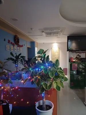 튼튼한의원 사진 3 (업체가 네이버 플레이스에 올린 사진)
