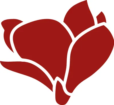 경희동의보감한의원 사진 1 (업체가 네이버 플레이스에 올린 사진)