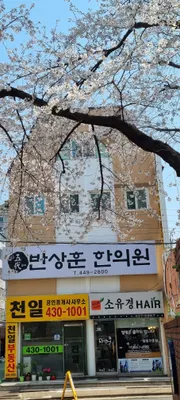 반상훈한의원 사진 1 (업체가 네이버 플레이스에 올린 사진)