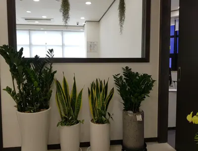 제물포한의원 사진 3 (업체가 네이버 플레이스에 올린 사진)
