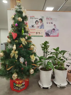 경희당한의원 사진 2 (업체가 네이버 플레이스에 올린 사진)